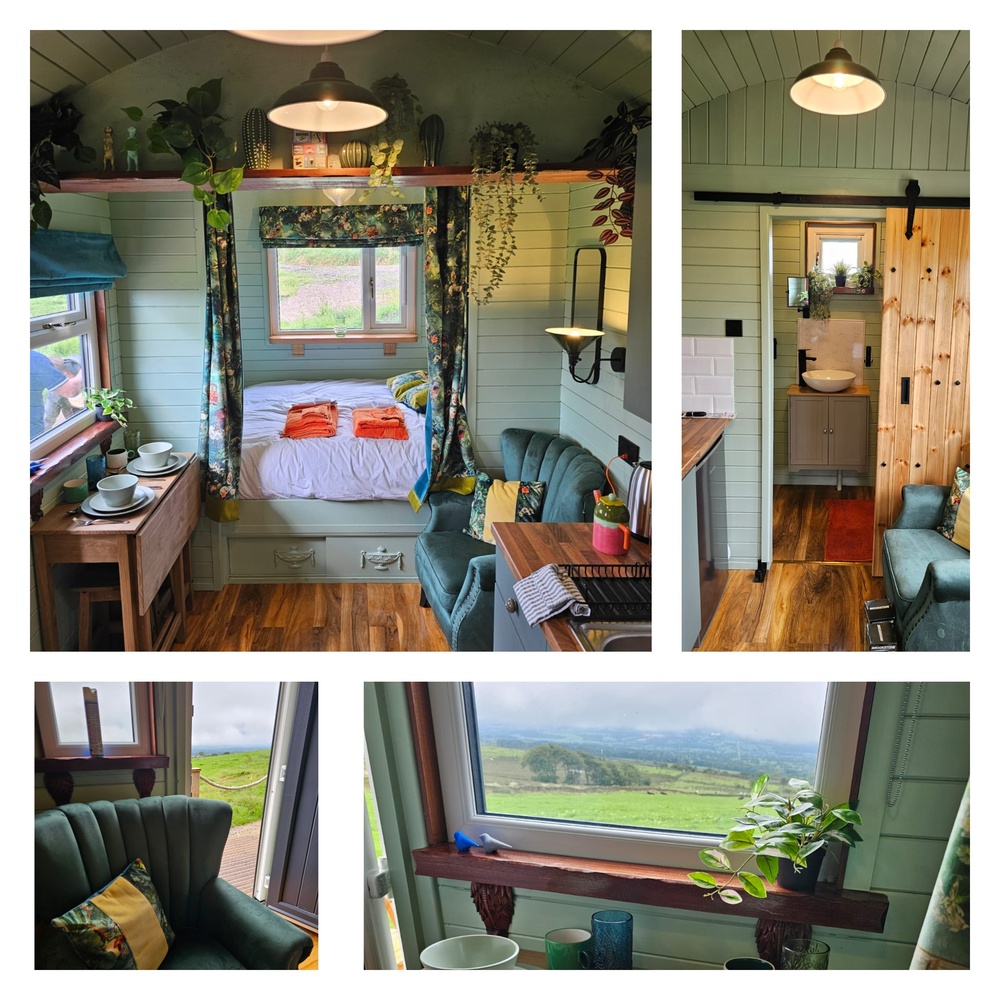Read more about the article Welcome to our August Newsletter – Food, Summer Events and More!